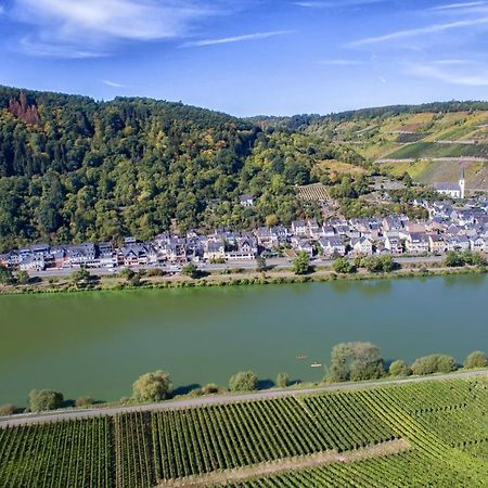 Weingut Pension Gibbert-Pohl Briedel Extérieur photo