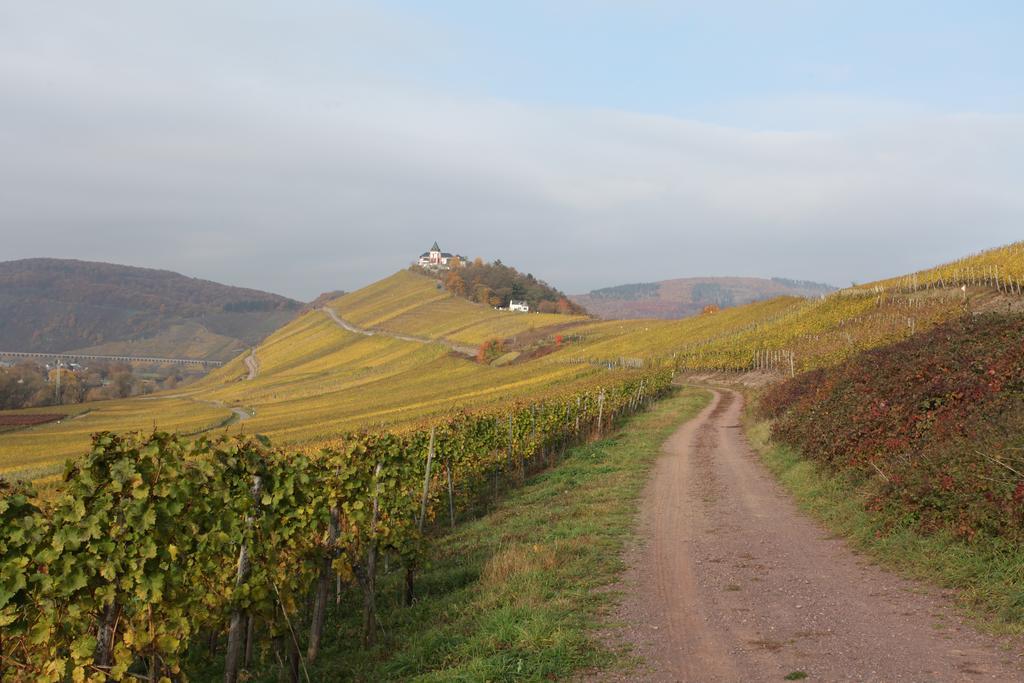 Weingut Pension Gibbert-Pohl Briedel Extérieur photo