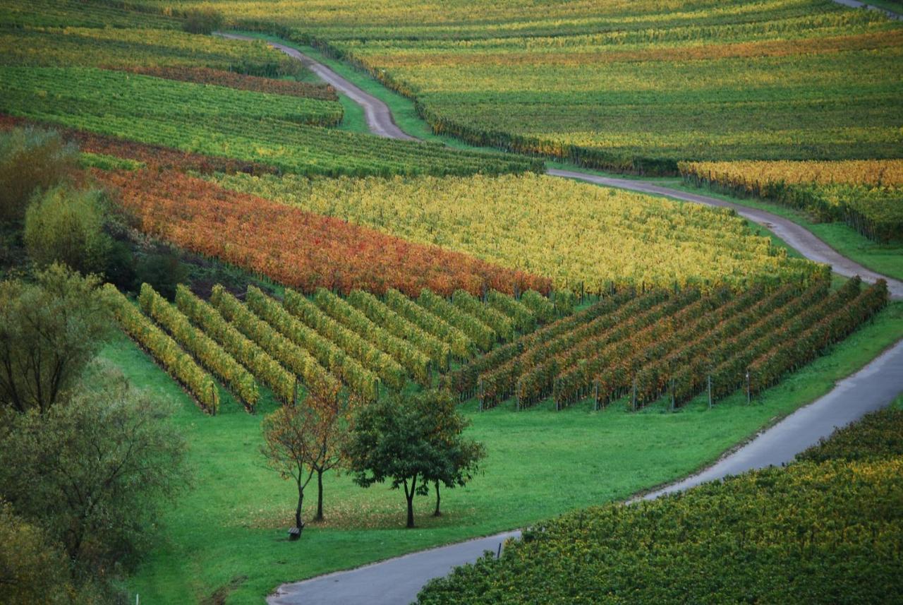 Weingut Pension Gibbert-Pohl Briedel Extérieur photo