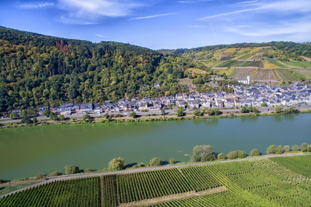 Weingut Pension Gibbert-Pohl Briedel Extérieur photo